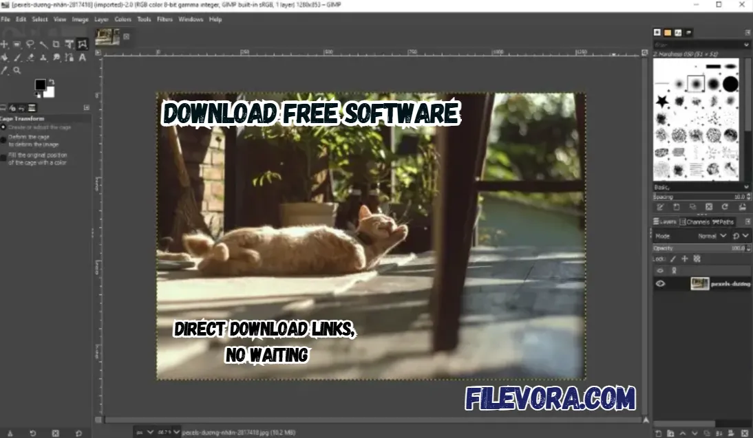 GIMP Image Editor 3.0.8 For Windows (2026) screenshot
